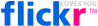 flickr - photo website