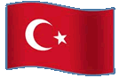 Turkist flag