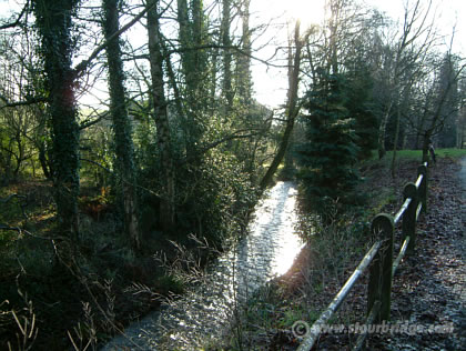 Stream running through Churchill village, nr Stourbridge