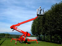 Absolute Tree Solutions Access Platform