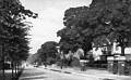 Norton Road
