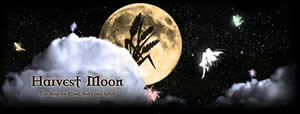 Harvest Moon gift Shop, Stourbridge