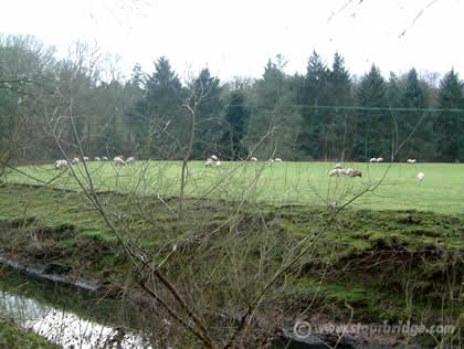 Meadows alongside the River Stour