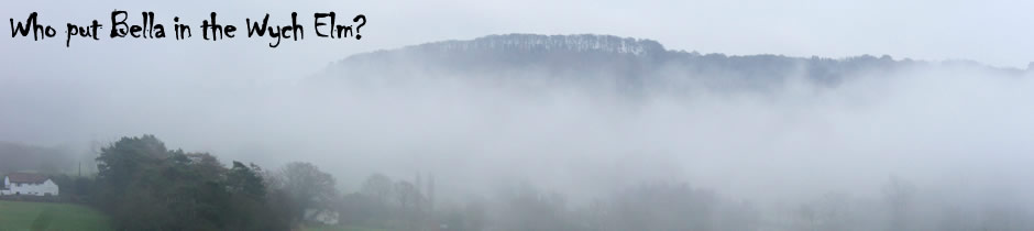 Clent Hills from wychbury Hill