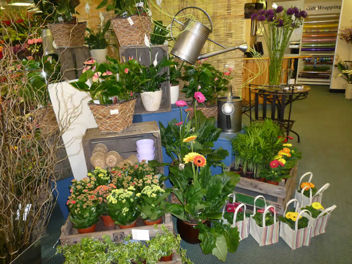 The Flower Basket, Market Street, Stourbridge