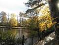 Heath Pool