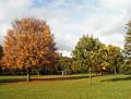 Banstand in distance