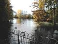 Geese on Heath Pool