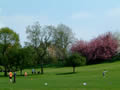 Looking towards Oldswinford Hospital School