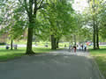 Queens Drive