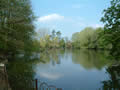 Heath Pool