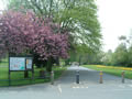 Queens Drive