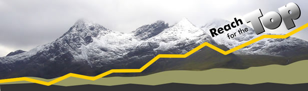 Reach for the Top SEO