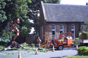 Sinclair Tree surgeon - equipment