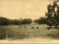 Studley Court park