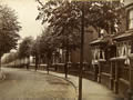 South Avenue, Stourbridge